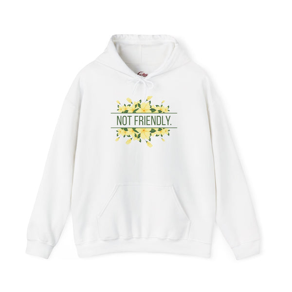 Not Friendly Hoodie | Floral Graphic Hoodie | Feminine Edge Sweatshirt | Introvert Hoodie Women | Cute But Not Nice Hoodie | HMHC